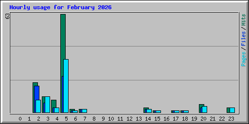 Hourly usage for February 2026